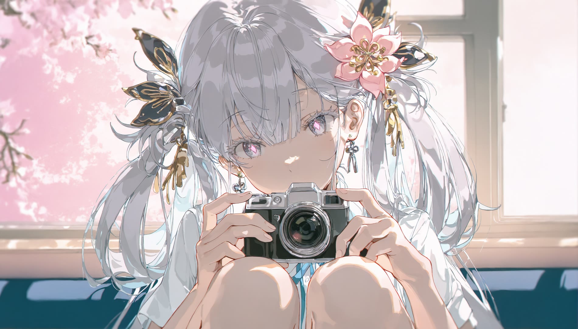 某猫切换会员线路-91Pro资源站