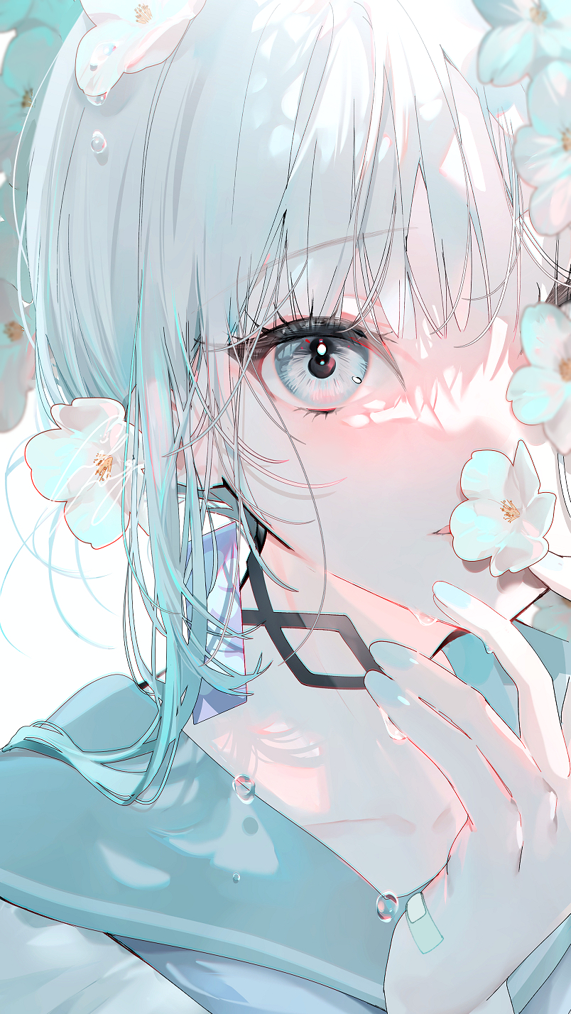 Definite9065的头像-91Pro资源站